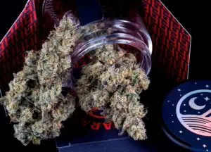 Donut Shop strain