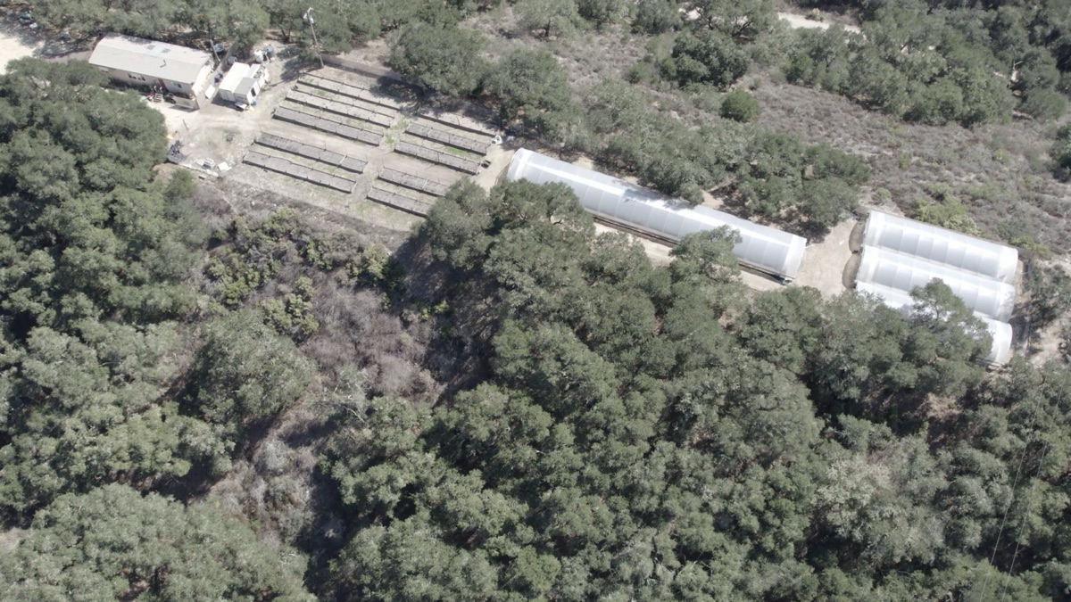 Aerial view of the SLO CAL Roots farm on the Central Coast