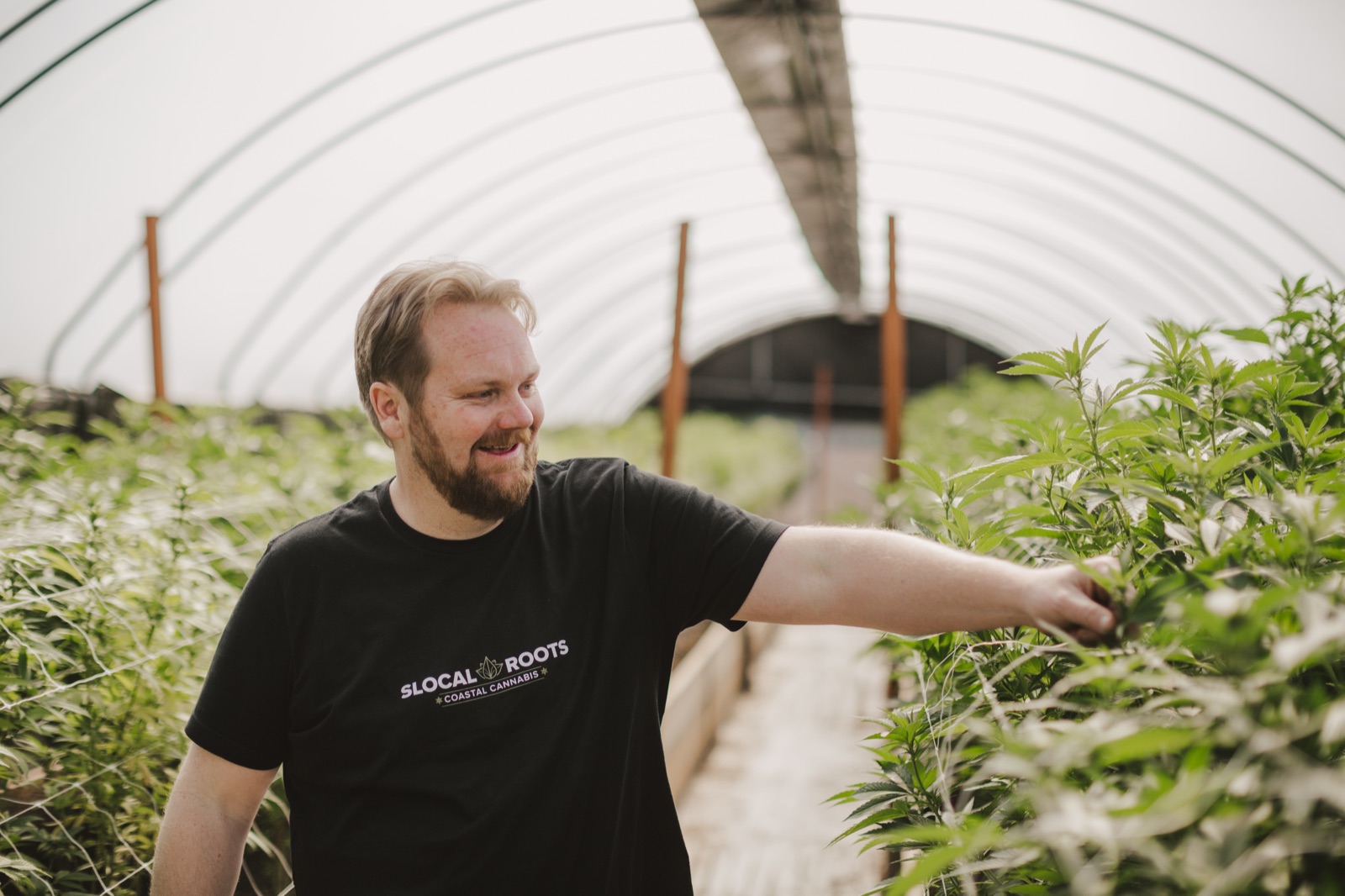 Austen tending cannabis plants in the greenhouse