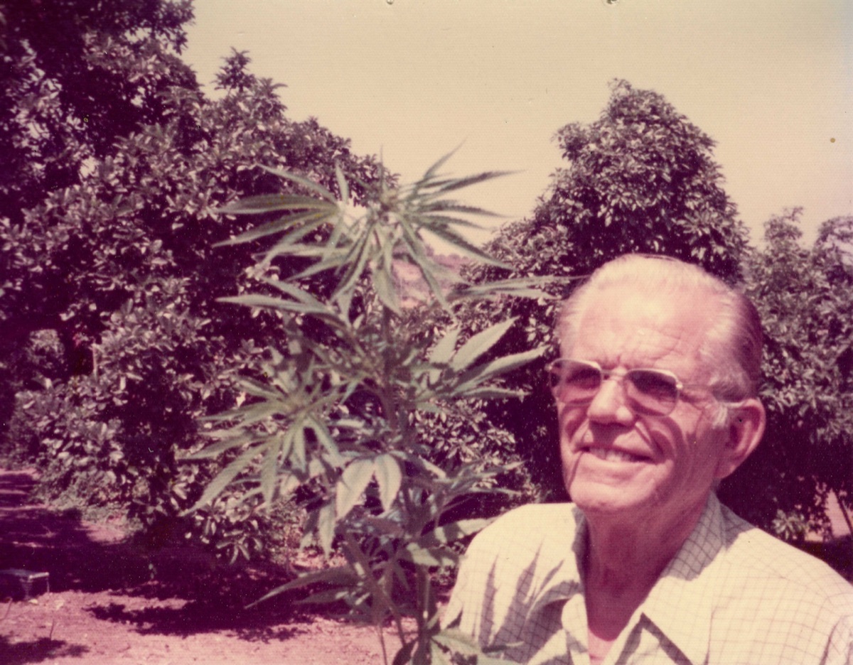 Austen's grandfather with a cannabis plant
