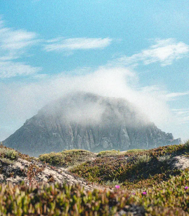 our-farm-mountain Morro Rock in SLO Cal, partially wrapped in fog, with vibrant coastal vegetation in the foreground under a bright blue sky.