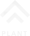 Ancient plant rune, symbolizing nature’s connection to energy, growth, and cannabis culture.